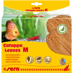 Sera Catappa Leaves-Accessories-Sera-M-Iwagumi